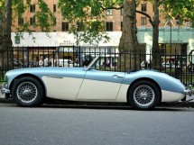 Austin Healey 3000 4 seater 4 Point Bolt-in Roll Cage