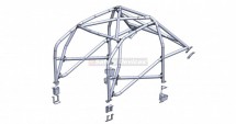  6 Point Bolt-in Roll Cage