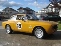Alfa Romeo 1750 GTV Coupe 6 Point Bolt-in Roll Cage