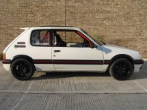Peugeot 205 Multi Point Bolt-in Roll Cage